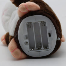 Load image into Gallery viewer, Talking Hamster Plush