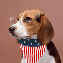 Load image into Gallery viewer, American Flag Dog Bandana Triangle