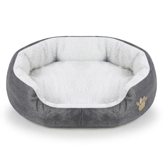 Memory Foam Dog Bed